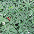 cercas decorativas revestidas da esteira do hedge do jardim da folha artificial do pvc